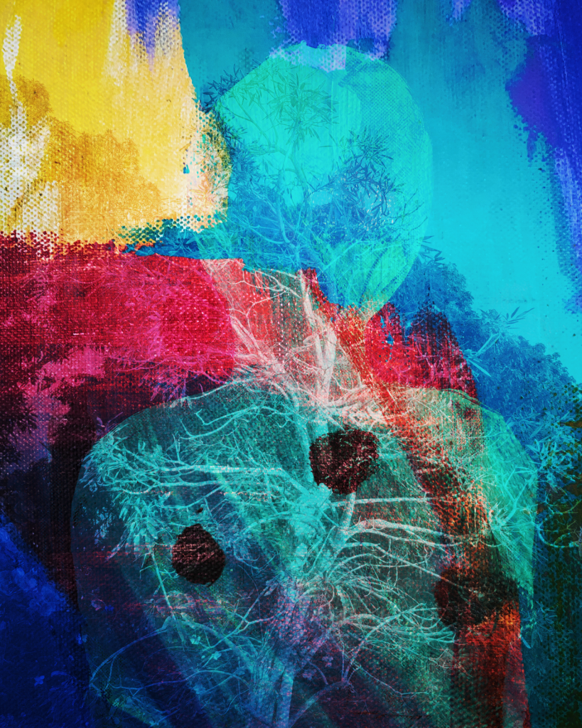 fine art giclee