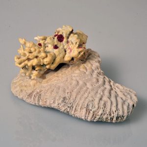 Coral on Coral Figurine